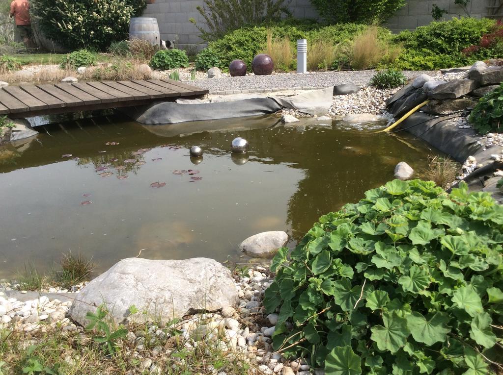 Lakeside Villa Boldogasszony Kültér fotó